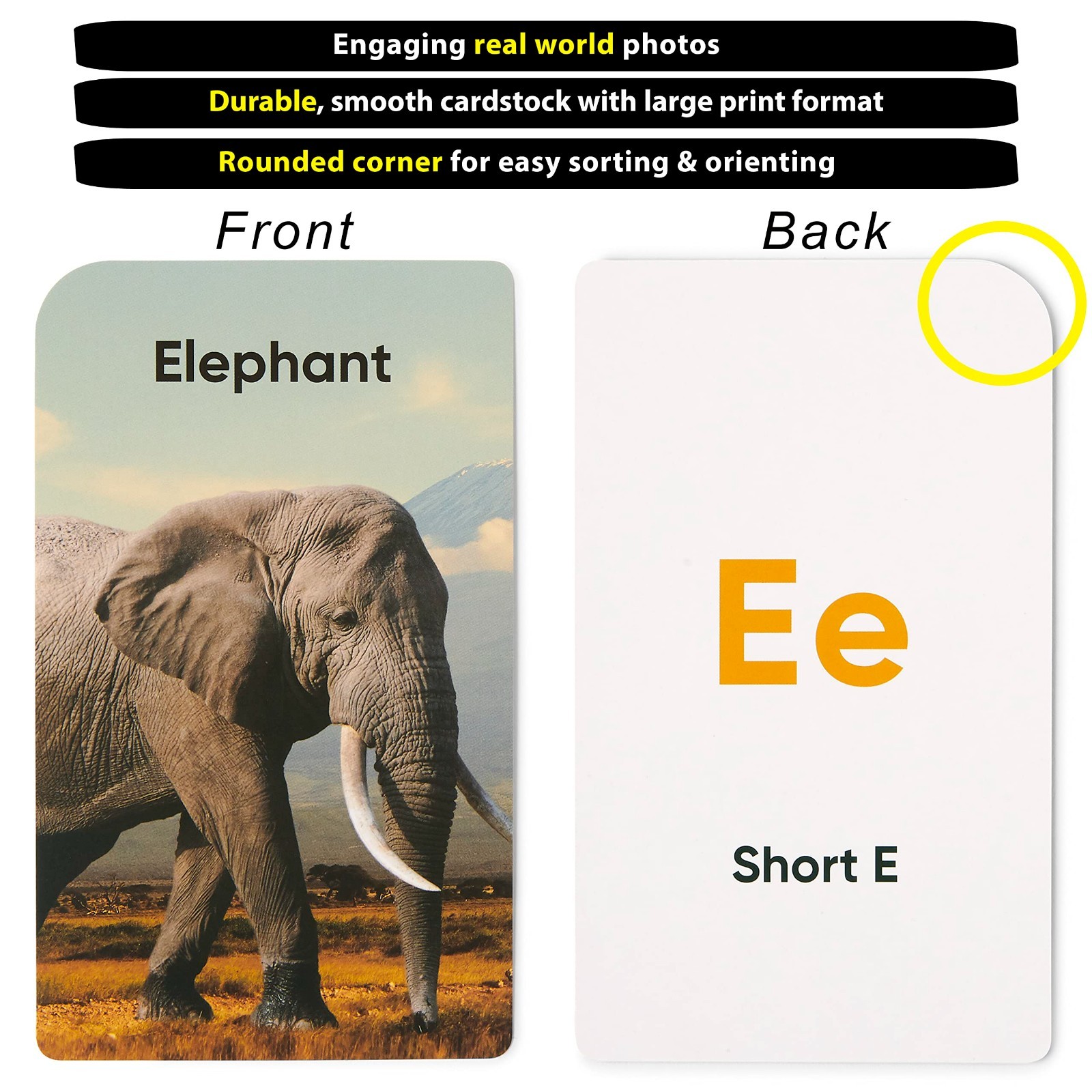 Educational Flash Cards Set for Kids – 180 Jumbo Cards for Learning Alphabet, Nu