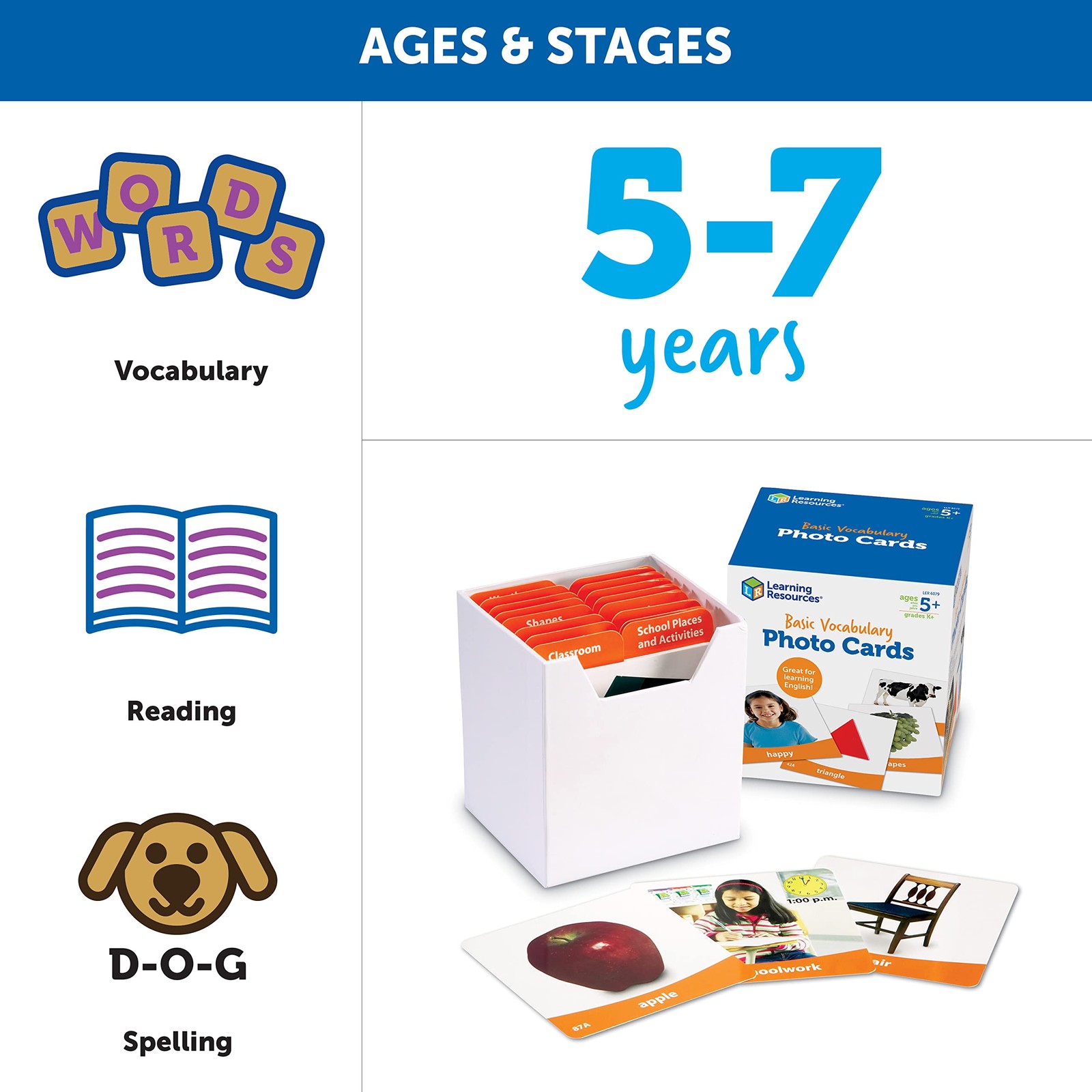 Learning Resources Basic Vocabulary Photo Cards Vocabulary/Phonics Learning