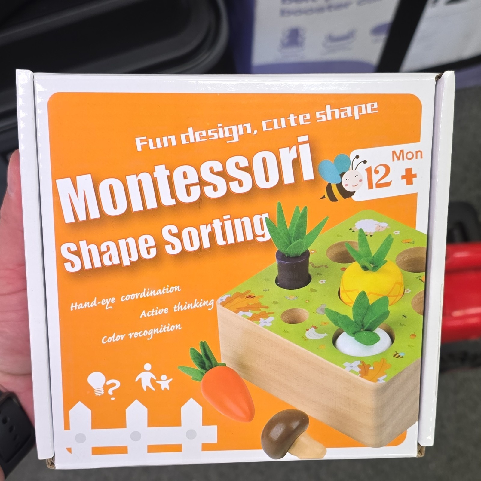 Montessori Shape Sorting Educational Toy, Multicolor, 12+ Months