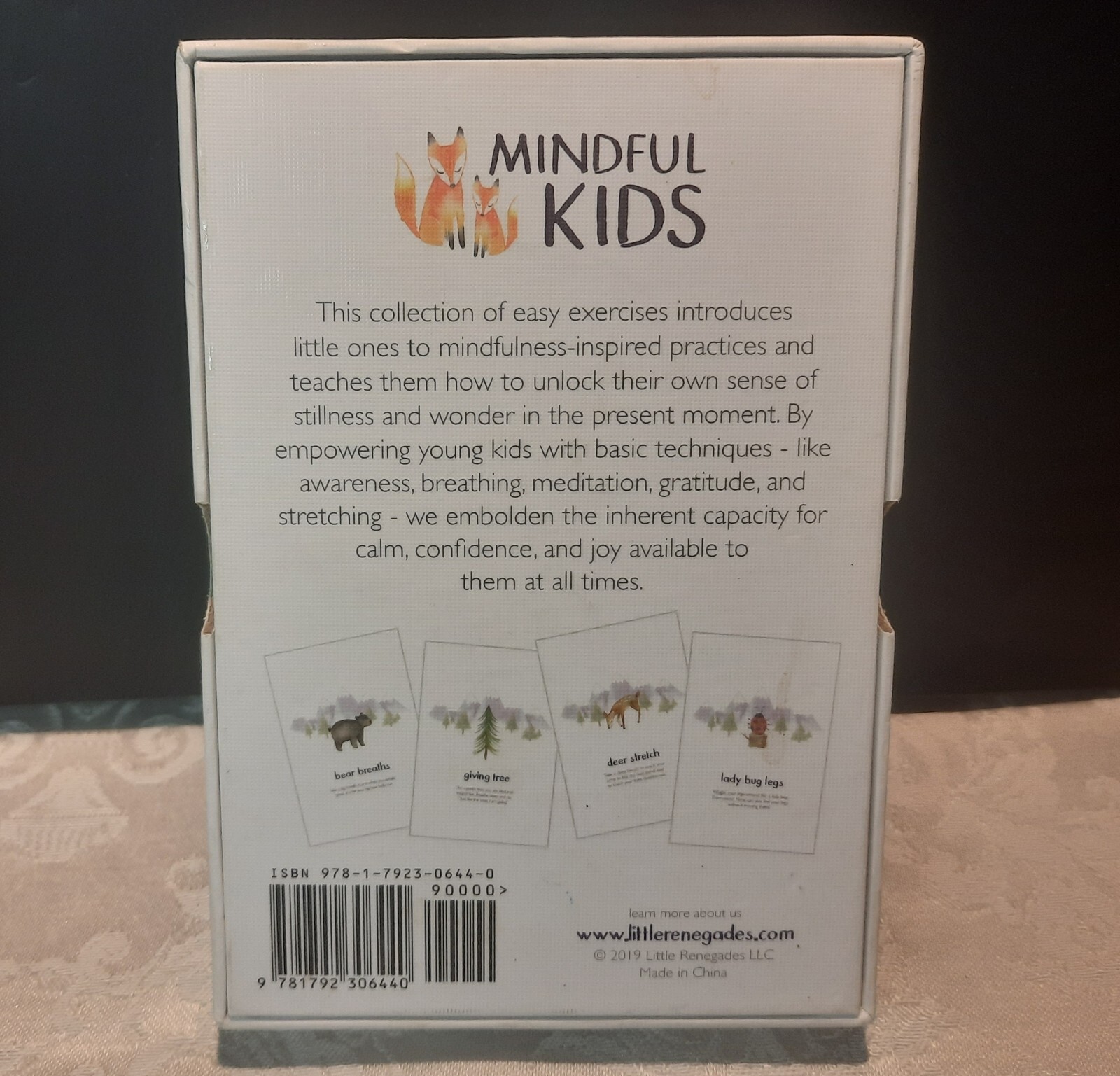 Little Renegades Mindful Kids Cards Everyday Exercises for Confidence & Joy EUC