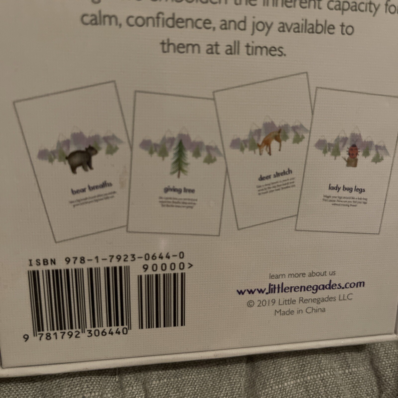 NEW Little Renegades Mindful Kids Cards: Everyday Exercises for Confidence & Joy