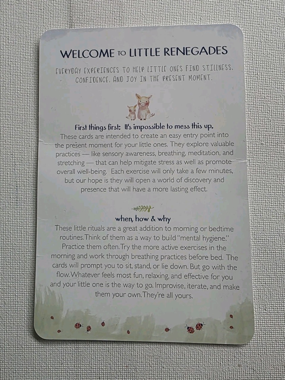 Little Renegades Mindful Kids Cards Everyday Exercises for Confidence & Joy