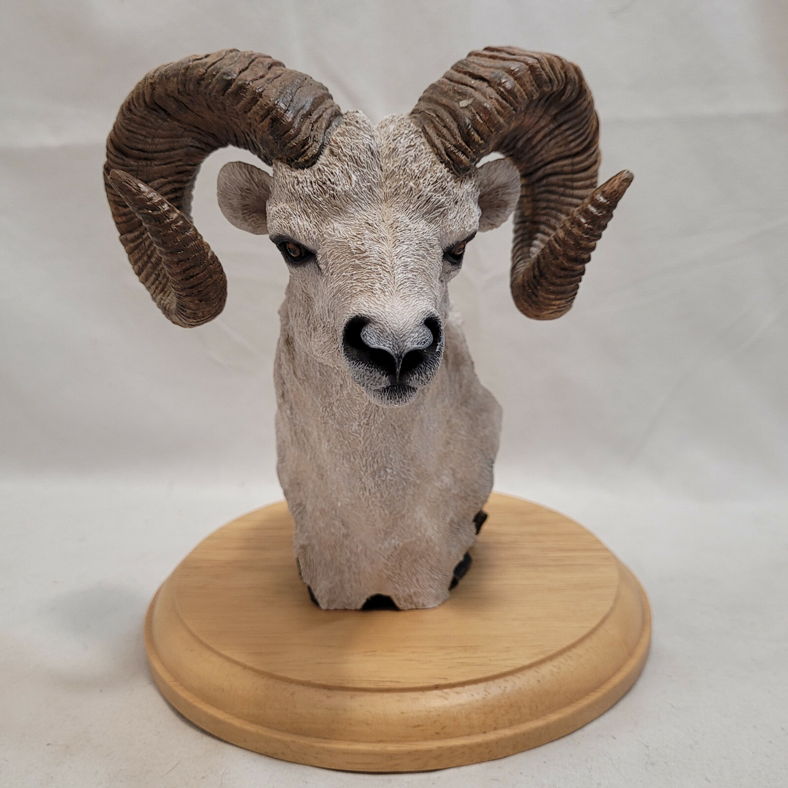Simpkins Animal Dall Sheep / Ram Bust # 51476RB Wood Base 7″ Tall