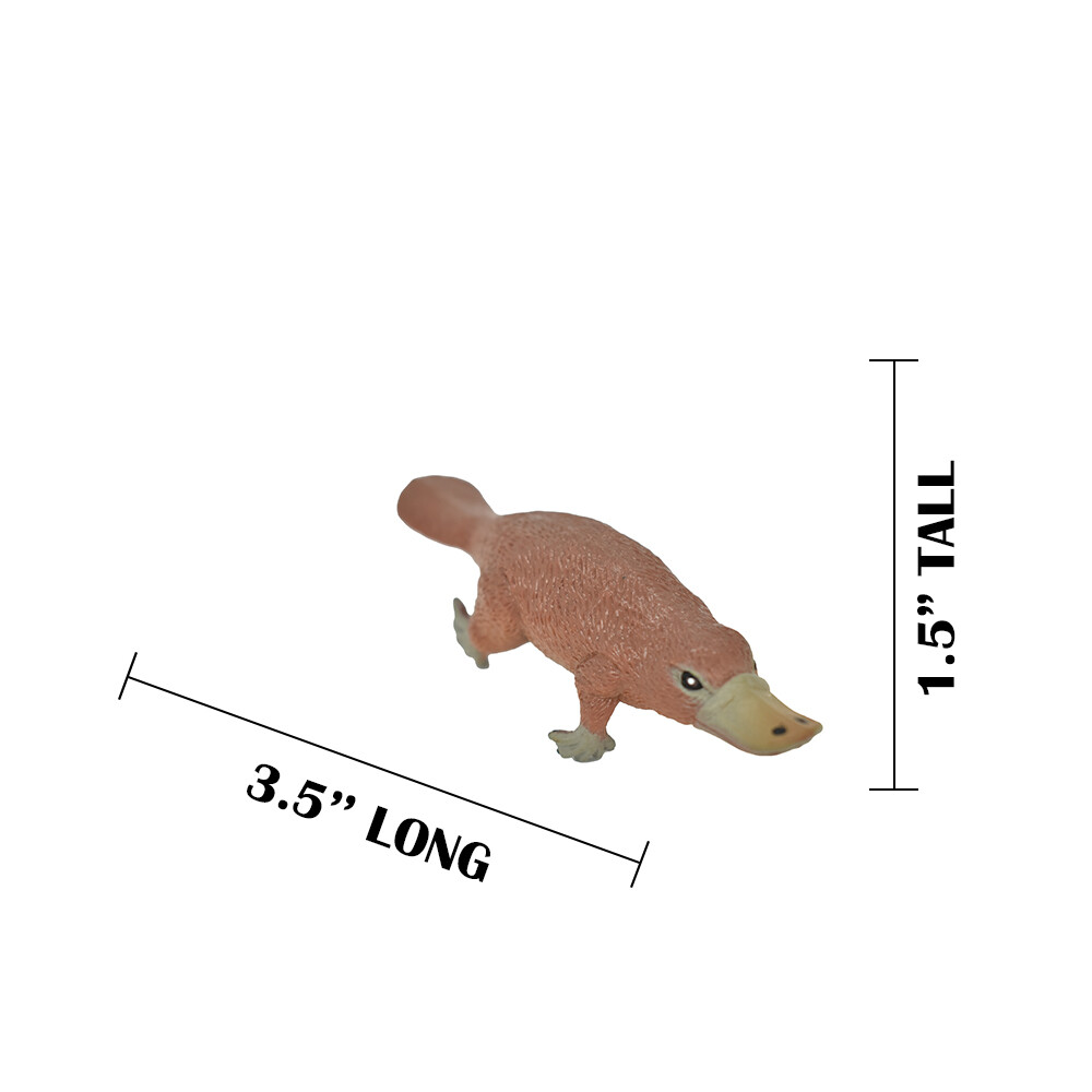 Platypus, ~ Very Nice Plastic Replica 3 1/2″ ~ F1091-B170