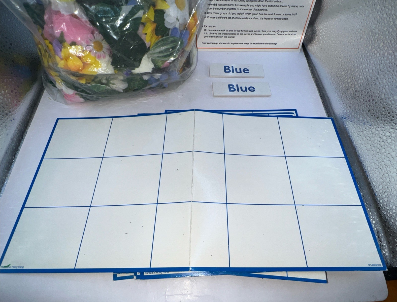 2000 Lakeshore Sort Plant Life Activity Cards, Leaves ,Flowers, and Color Cards