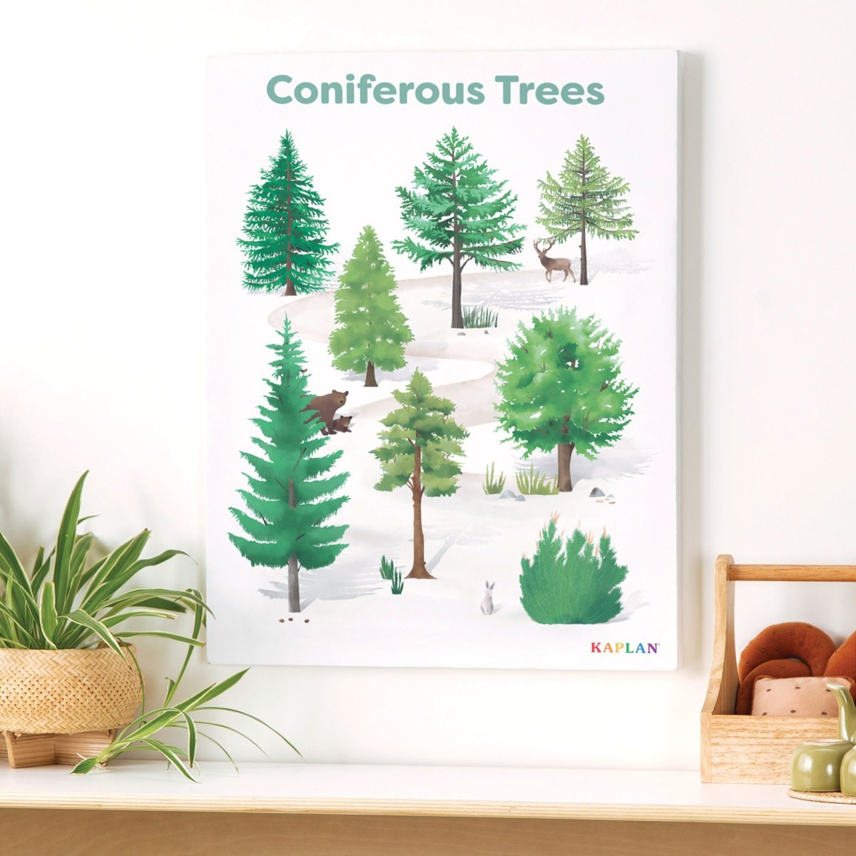Kaplan Early Learning Coniferous Tree Giclee Classroom Wall Print