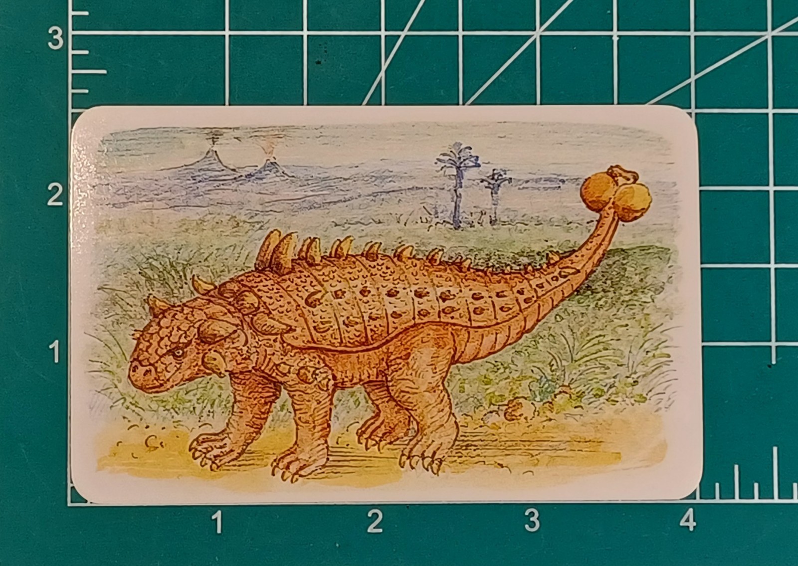 2 Sets / Vtg 60+ DINOSAURS Flash Cards Identification Cards Learning Teaching -Z