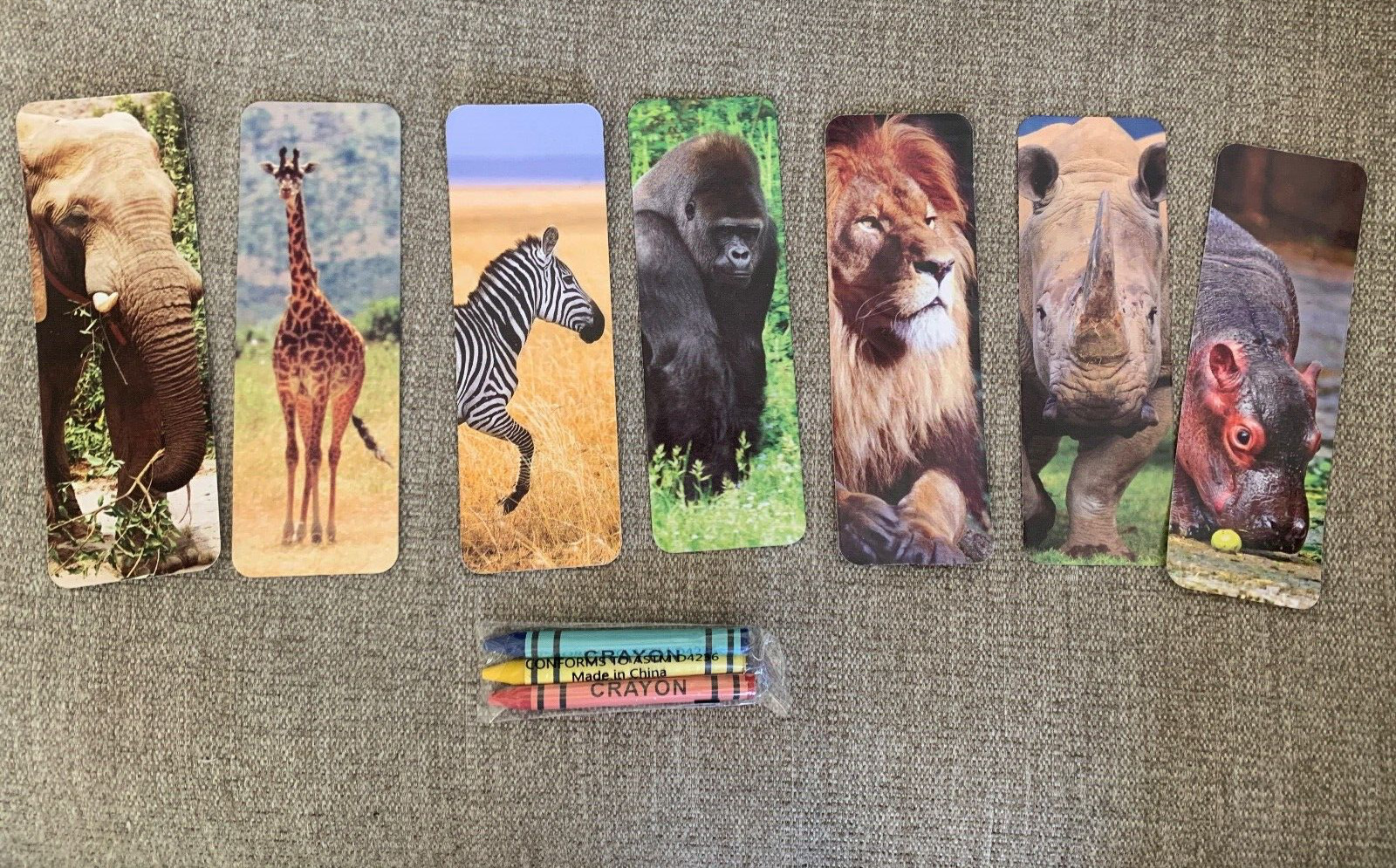 Kids DID YOU KNOW Cards African Safari Animals & Crayons Learning Educational