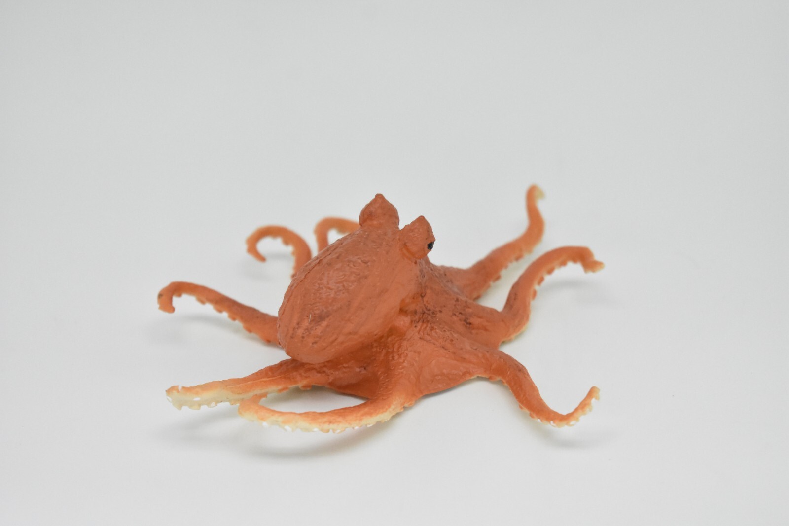 Octopus, Museum Quality Rubber Reproduction Hand Painted 5″ F449 B6
