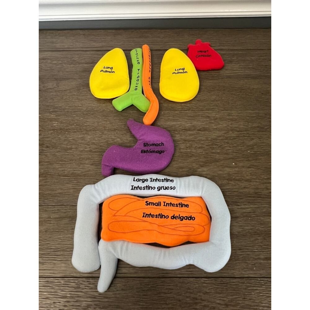 Excellerations Organ Replacement Parts for Learning Apron