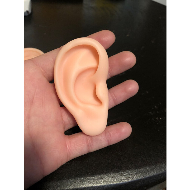 1 Pair Ear Model Silicone Ear Acupuncture Practice Model Right and Left Teaching