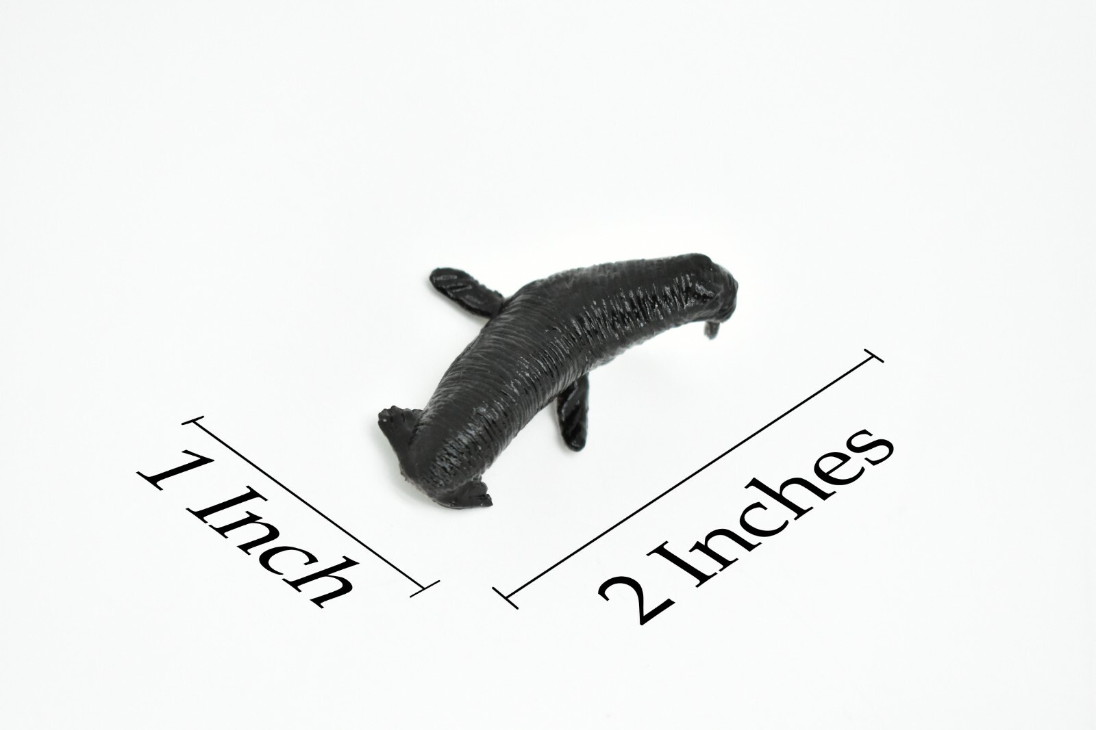 Walrus, Very Nice Plastic Replica 2″ ~ F0042-B123