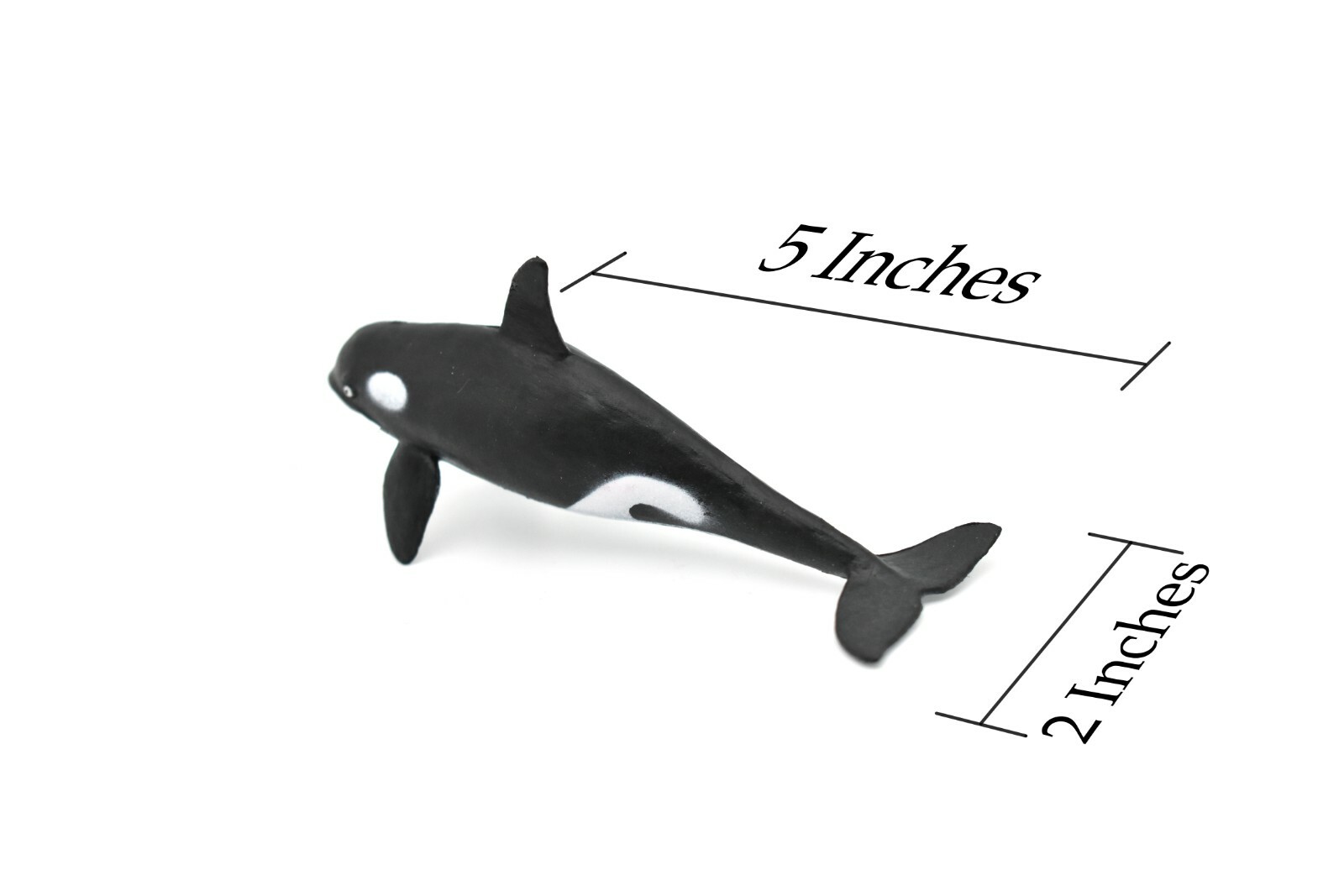 Orca, Killer Whale, Very Nice Rubber Replica 5″ ~ F6010-B377