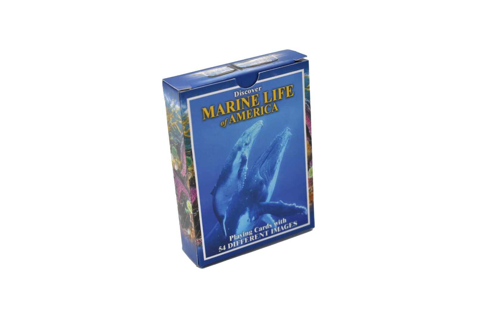 Marine Life of America, New Deck of Animal Themed Playing Cards 3 1/2″ SSA121