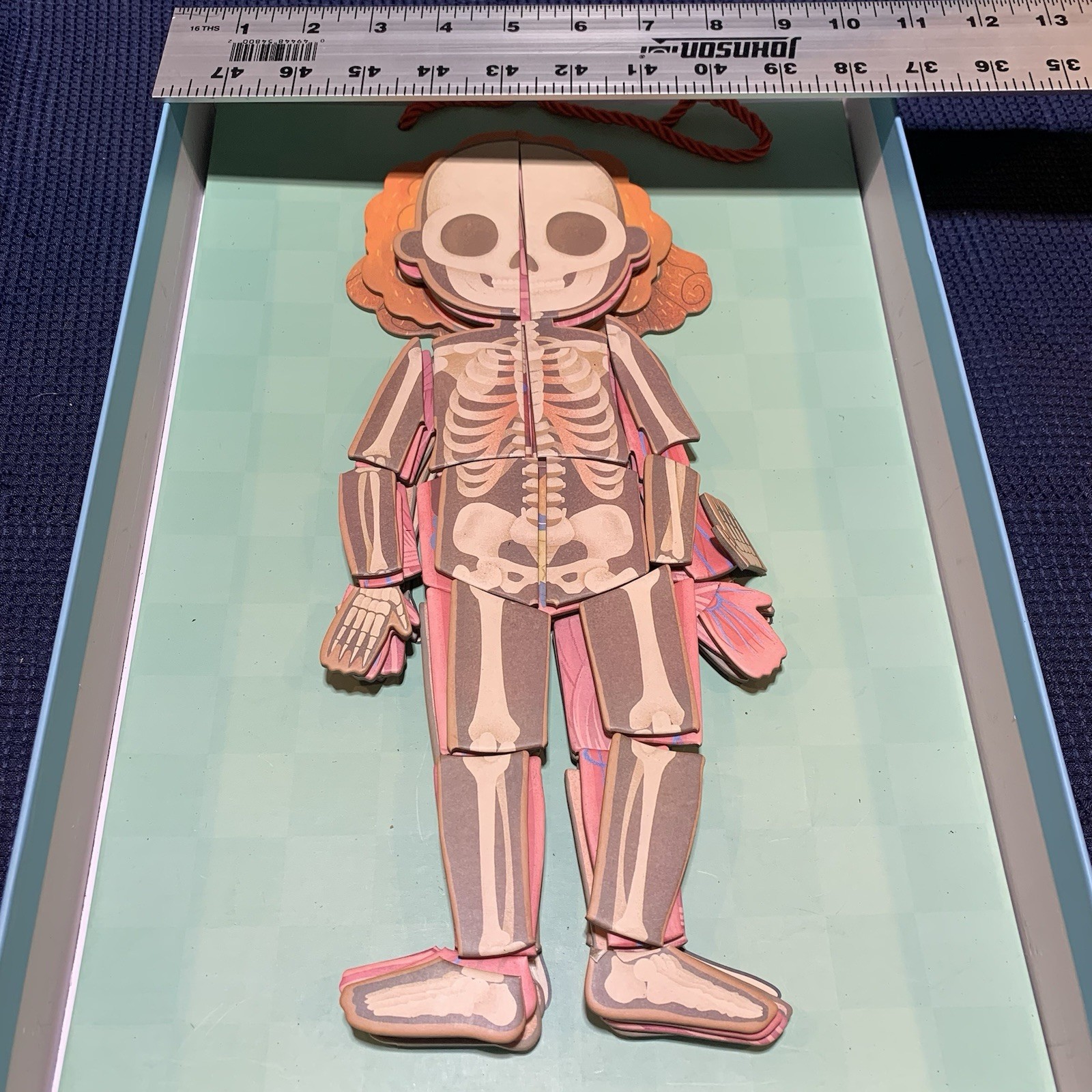 Educational Human Body Puzzles for Kids Magnetic Body Parts Systems Complete