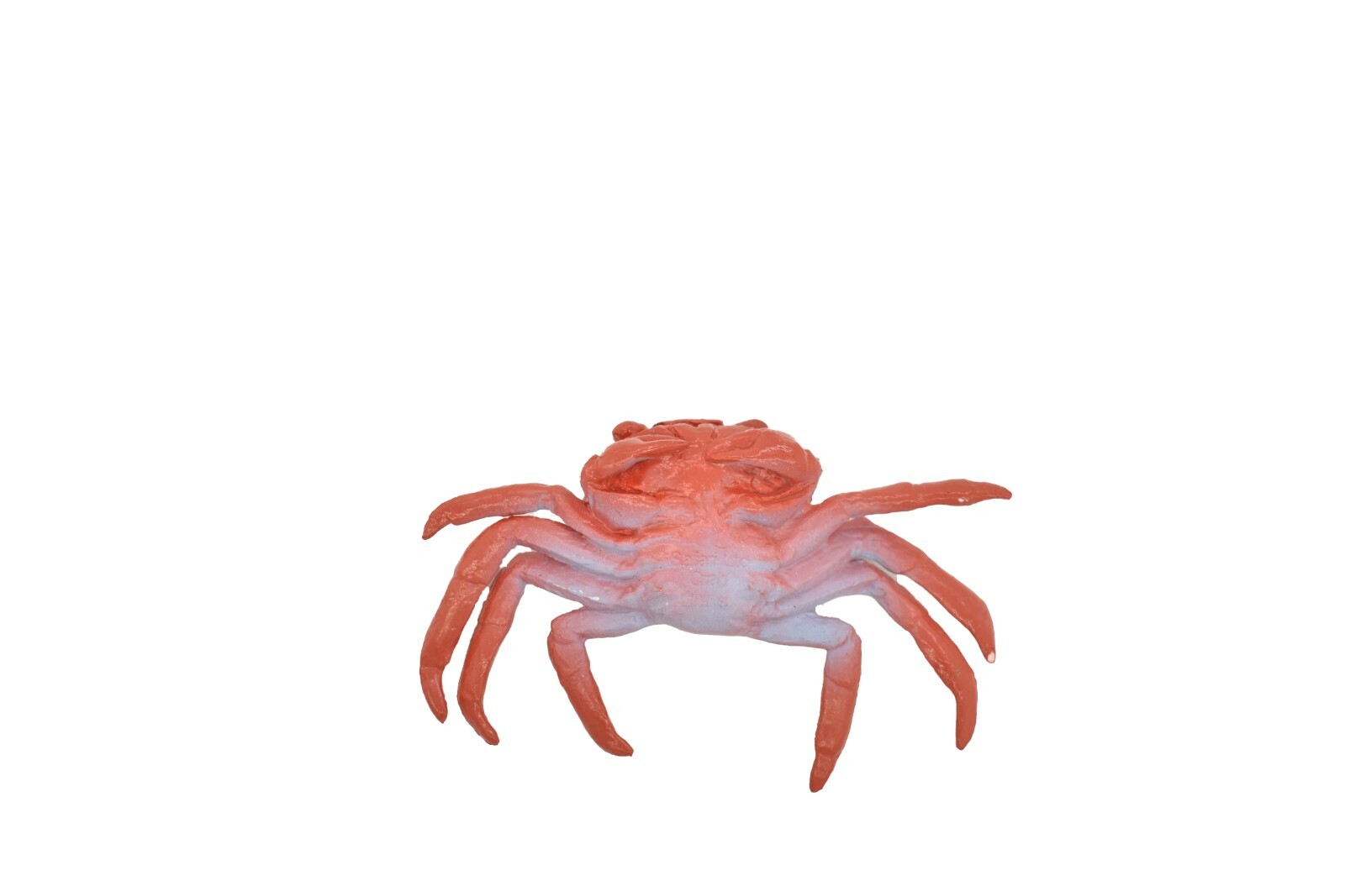 Crab Sally Lightfoot, Galapagos Islands, Plastic Replica 2″ F1591 B150