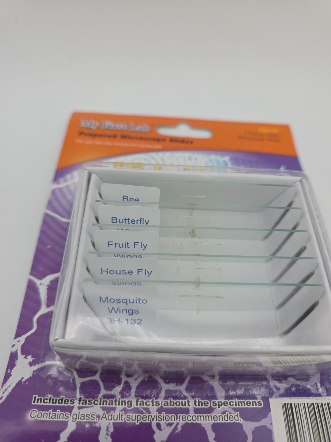 My First Lab Prepared Microscope Slides Wicked Wings PS55 Homeschool Science