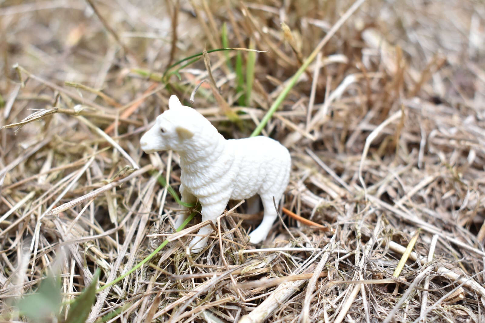 Sheep, Lamb Small Toy Model Plastic Replica Barn Farm Animal, 2.25″ F4152