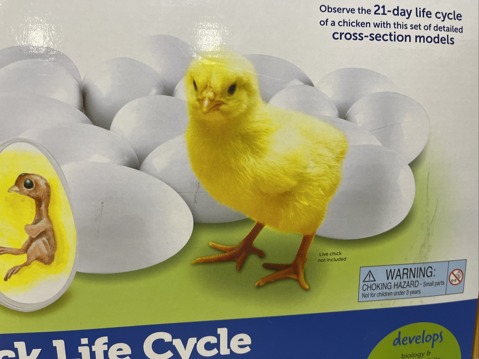 Chick Life Cycle Exploration Set Learning Resources 2733 – *Missing Chick*