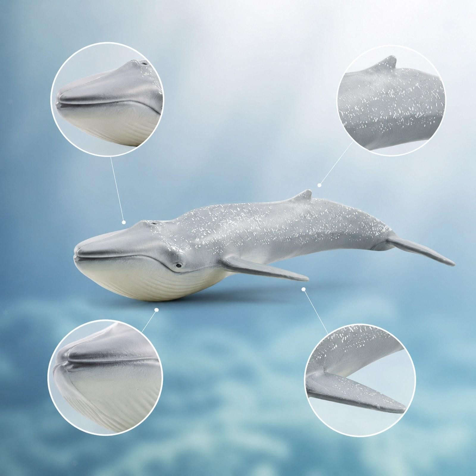 Simulation Animal Toy Model Decoration Sea Animal Toy for Boys Children Girls