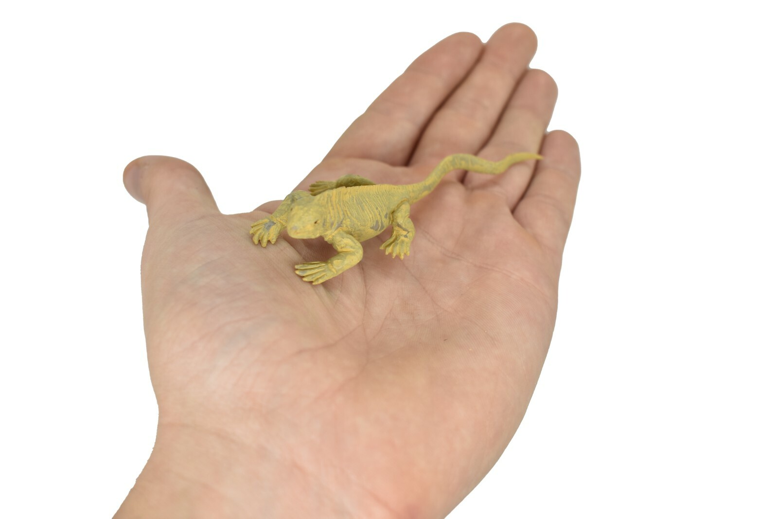 Iguana, Land Galapagos Islands Plastic Replica 4-inch plastic – F1525 B150