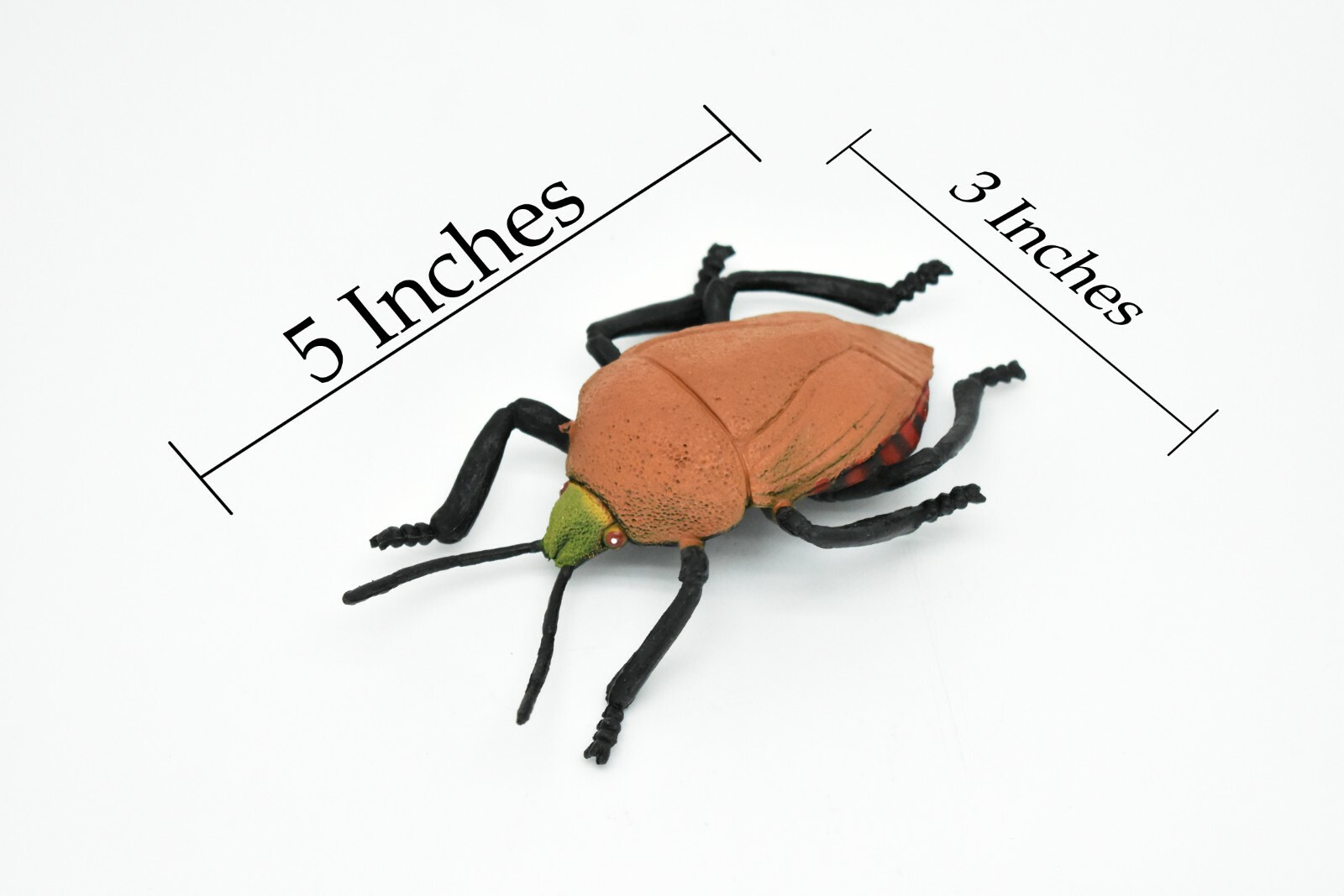 Beetle, Japanese, Brown, Very Nice Rubber Replica 5″ – F2066 B133