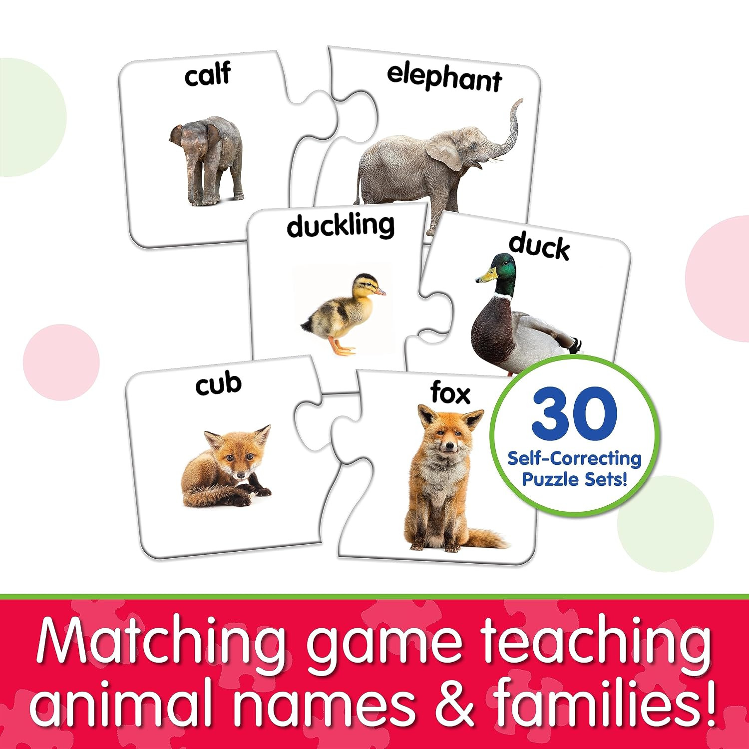 : Match It! – Animal Families – Learning Animals, Animal Matching Game, Animal P