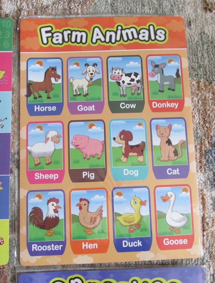 Preschool Educational Learning 11″ x 15.75″ Laminated Poster – Animals + More