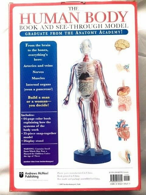 Human Body See-Through Model Kit – Vintage Becker & Mayer Educational