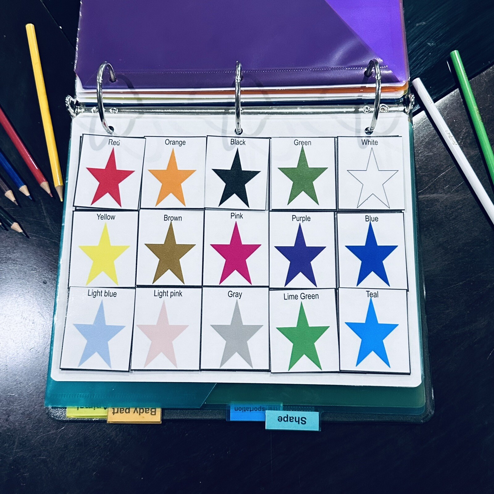 250 pictures for non verbal communication, therapy, gift idea teachers autism