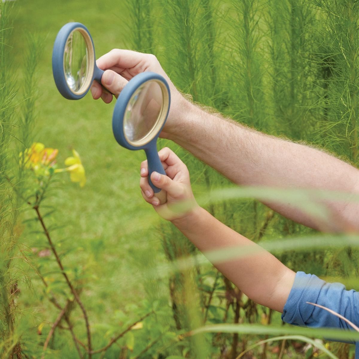 Kaplan Early Learning Set of 4 All-Weather Magnifying Glass