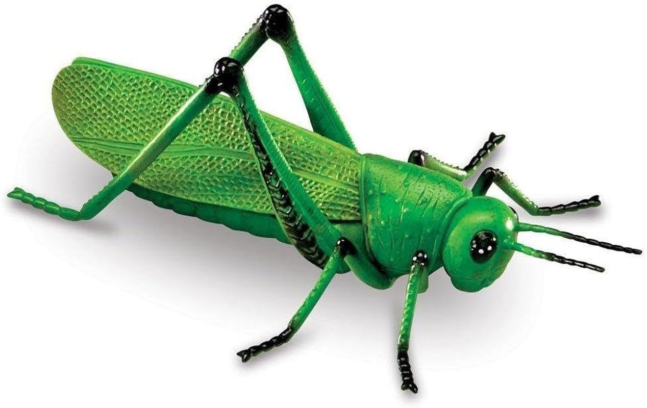 Jumbo Insects – 7 Pieces, Ages 3+ Toddler Learning Toys, Animal Toys for Kids, P
