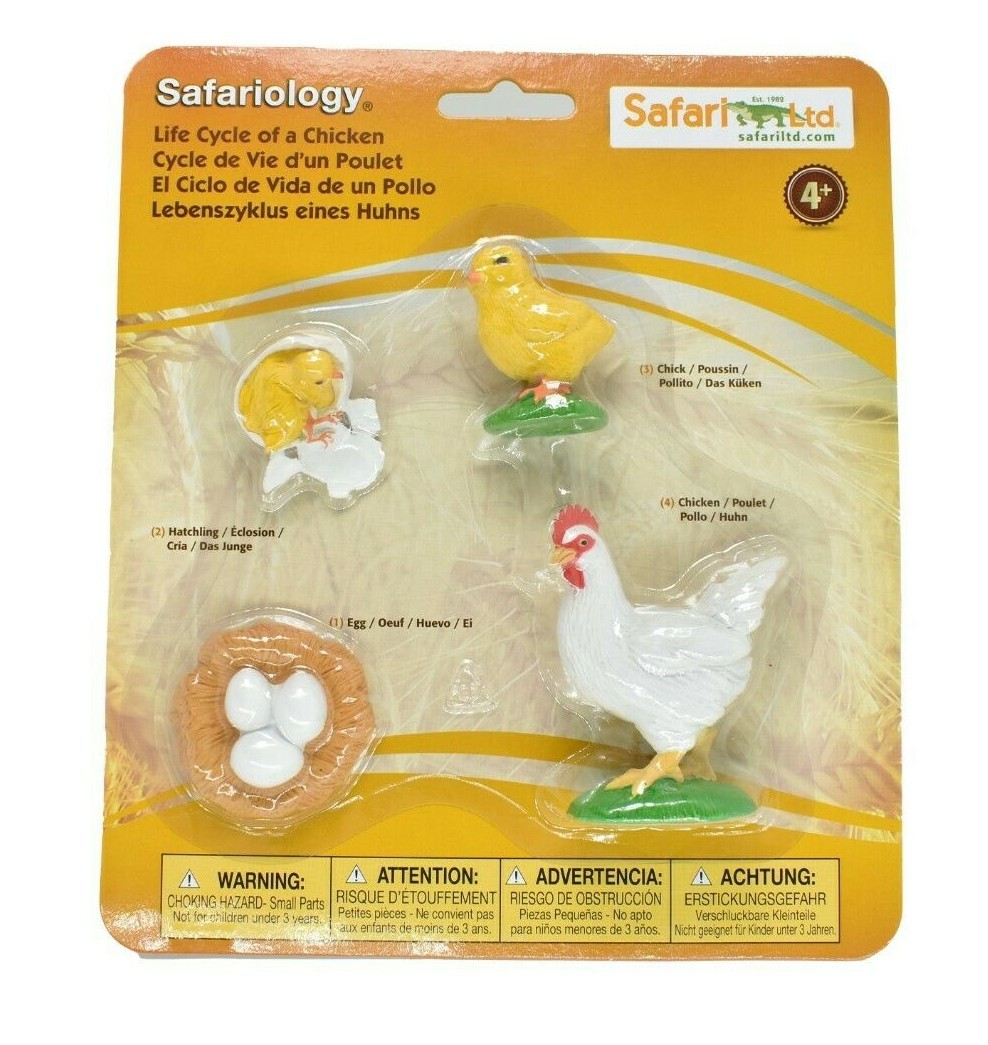 Chicken, Life Cycle, Realistic Toy Plastic Replica model set, Kids Gift F3684