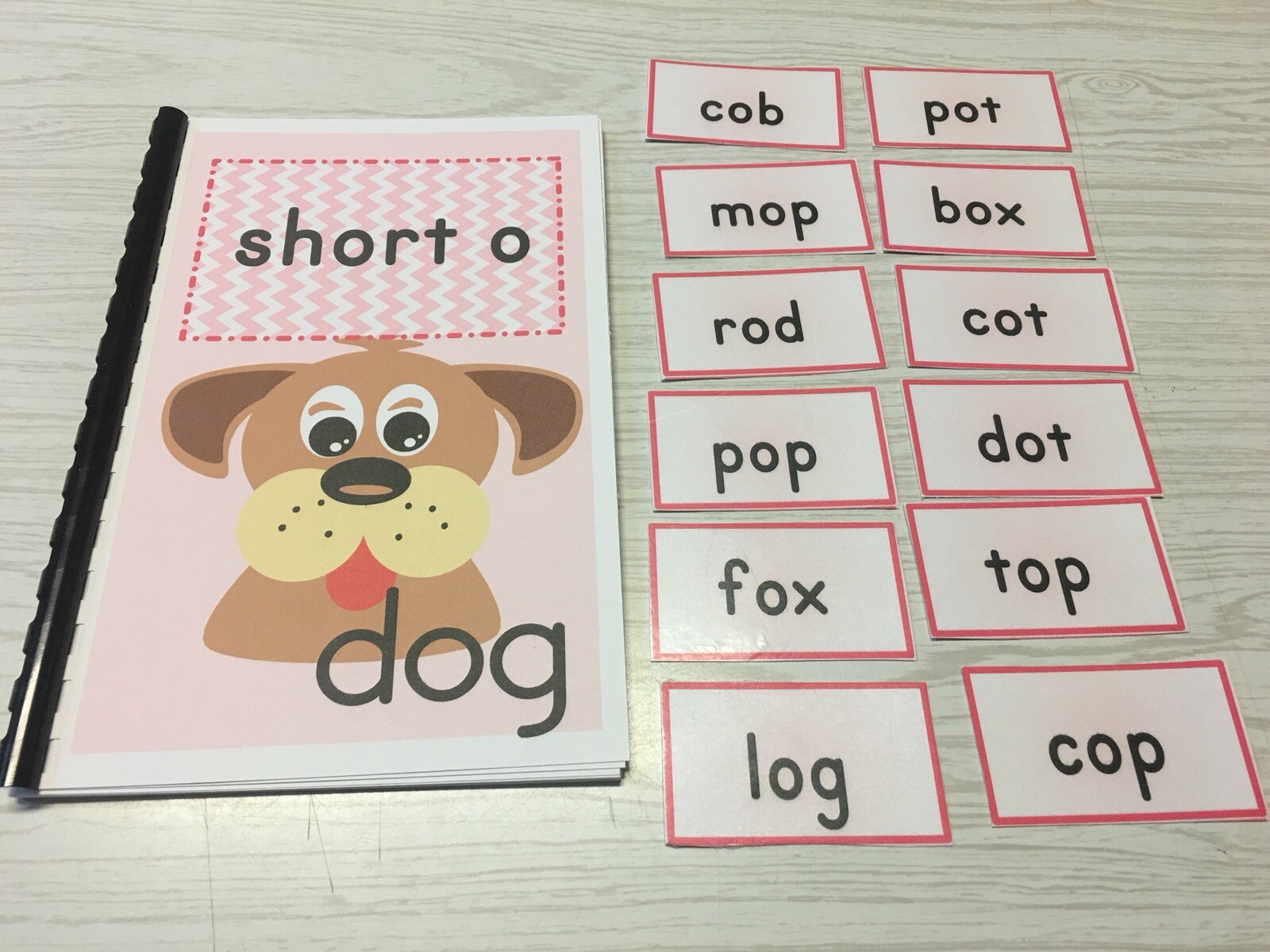 Interactive Learning Books for Children – Short Vowel Set w/60 Laminated Cards
