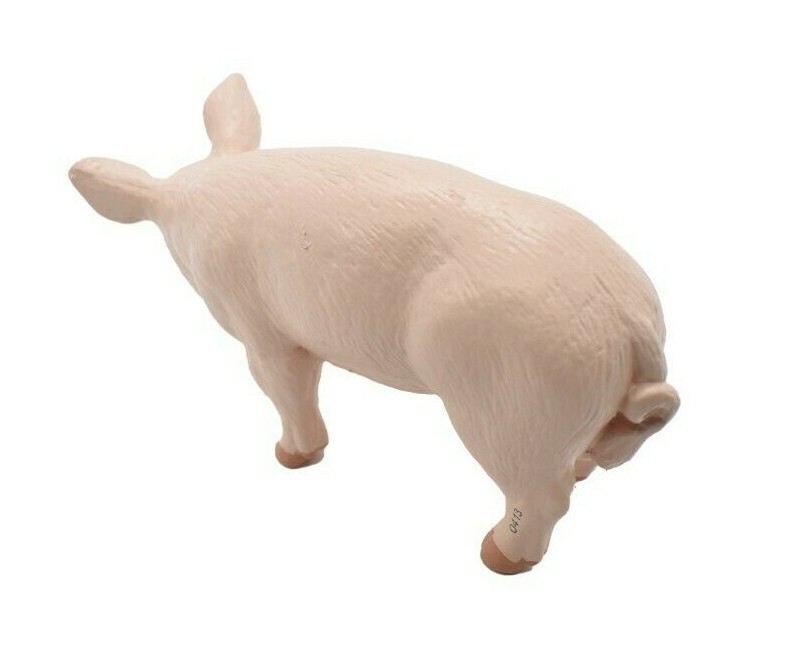 PIG / Boar Domestic Plastic Replica 4 1/2 -inch replica – F2024 B143