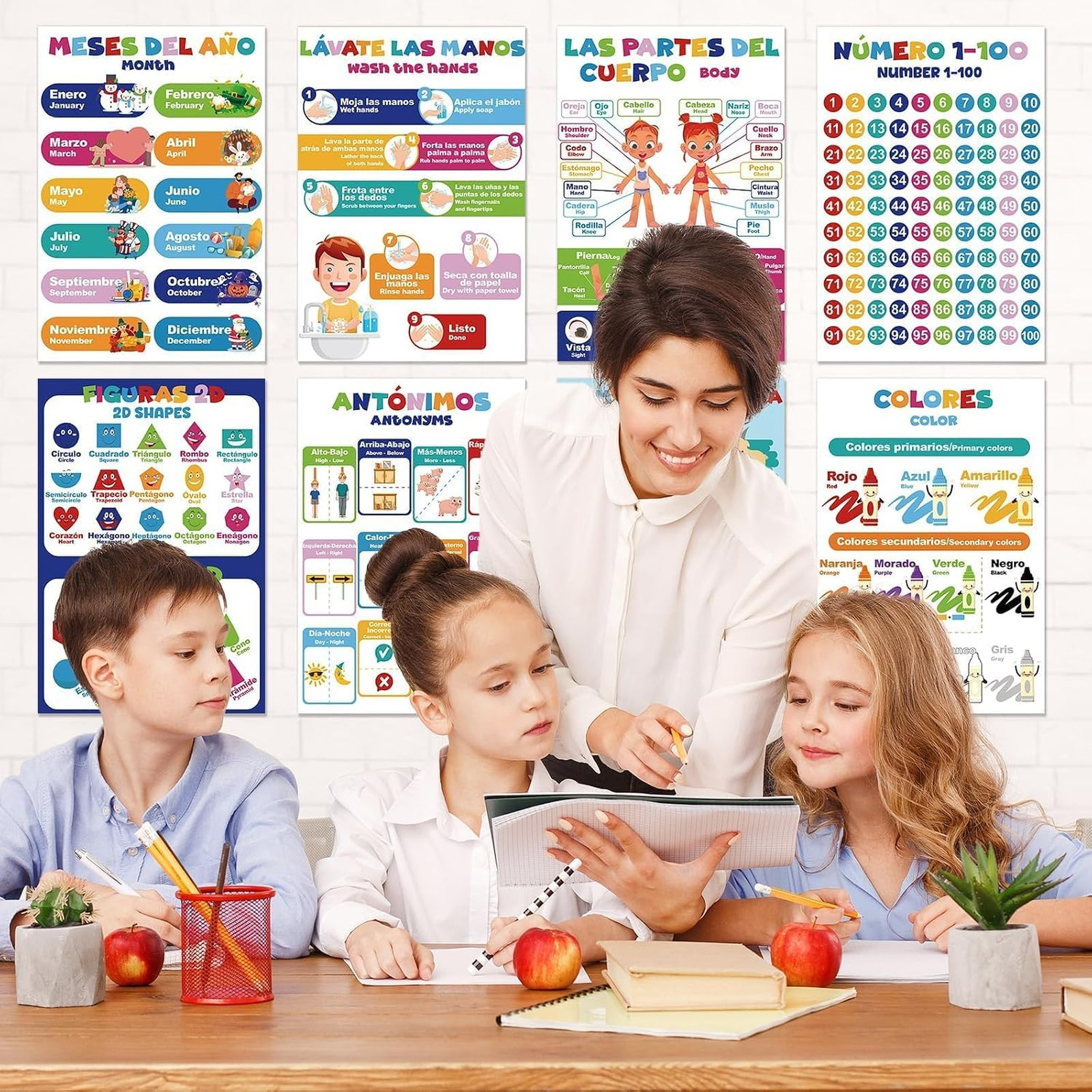Bilingual Learning Posters Set 16 Charts for Classroom Decoration Educational
