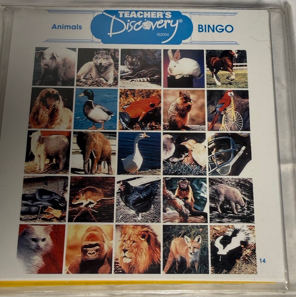 Teacher’s Discovery Bingo Card Sets Animals Food Classroom Nouns Educational