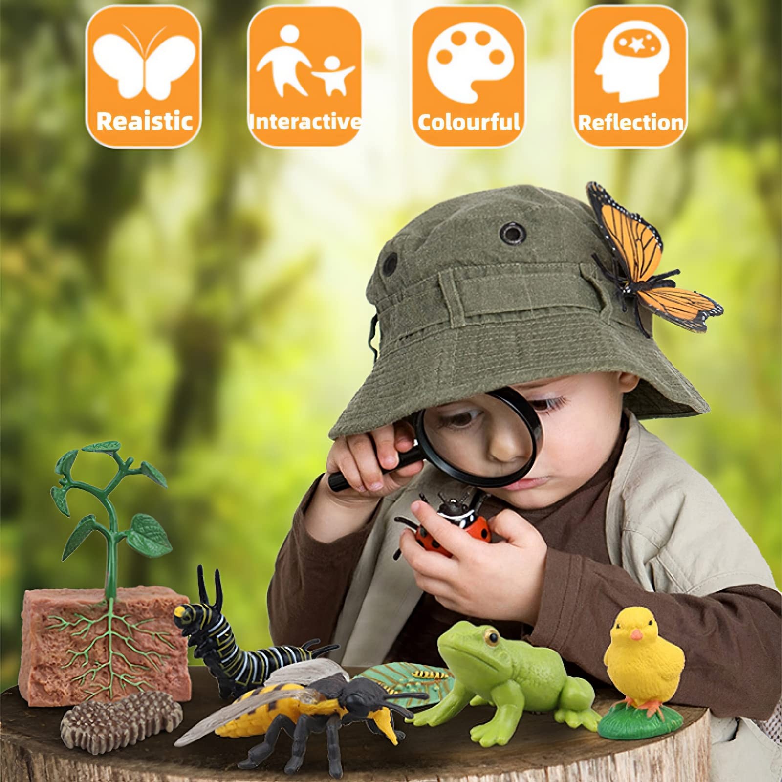 MIKNEKE Montessori Frog Life Cycle with Flash Cards, Plastic Insects Tadpole to