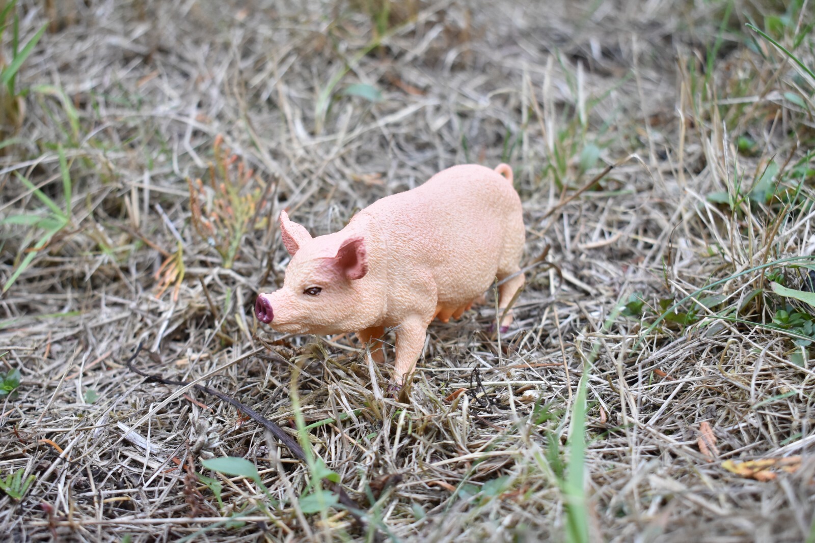 Pig, Sow Realistic Toy Model Plastic Replica Barn Farm Animal Gift 5″ F258