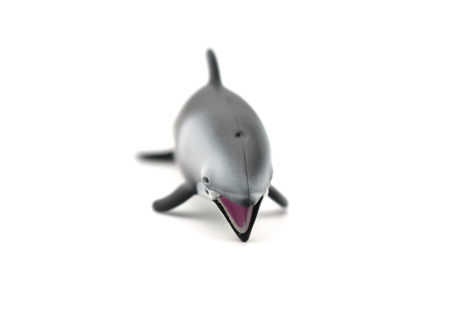 Dolphin, White Sided, With Moveable Parts, Quality Plastic Replica 4″ F095