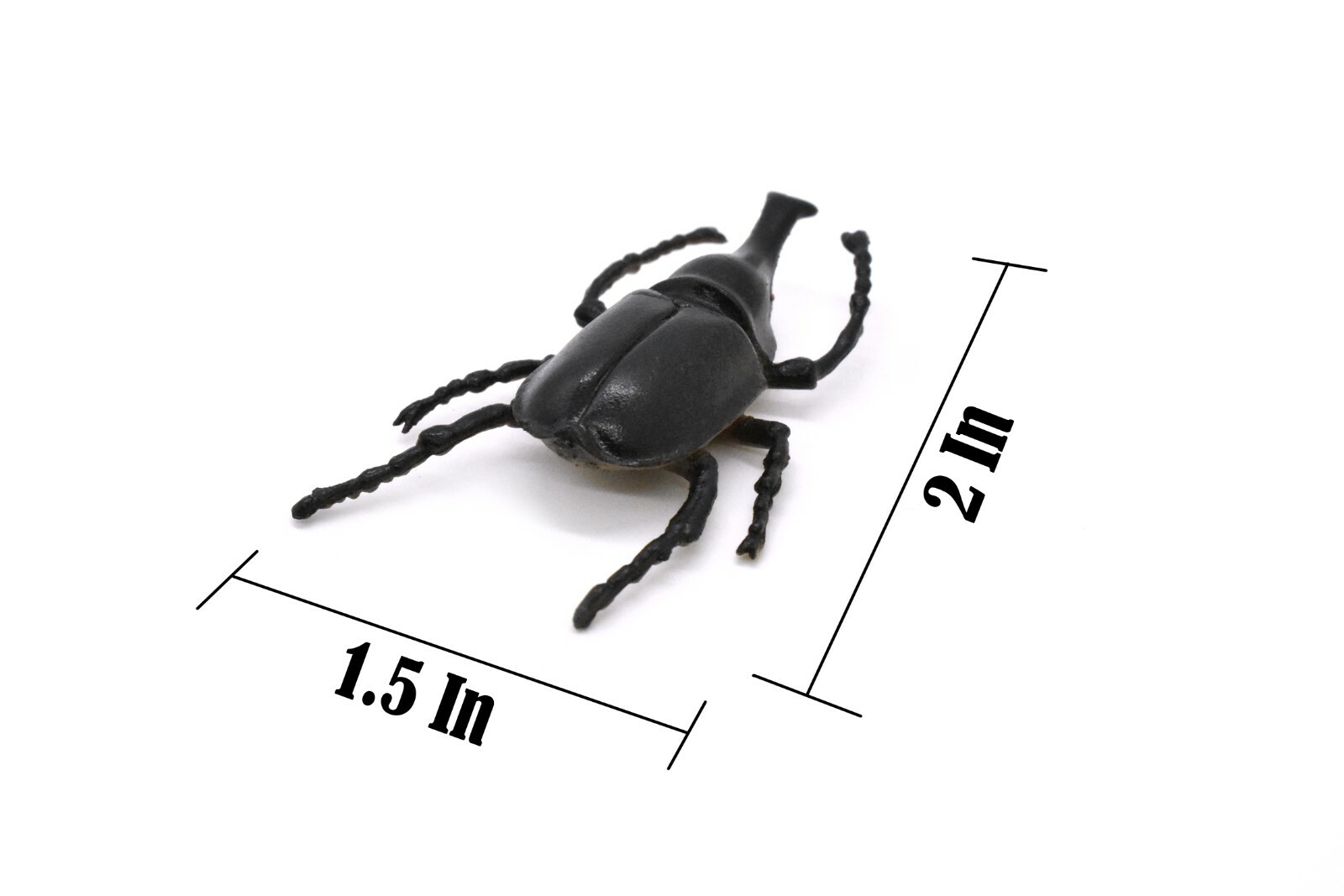 Elephant Beetle, Very Nice Rubber Reproduction 2″ CWG12 B13
