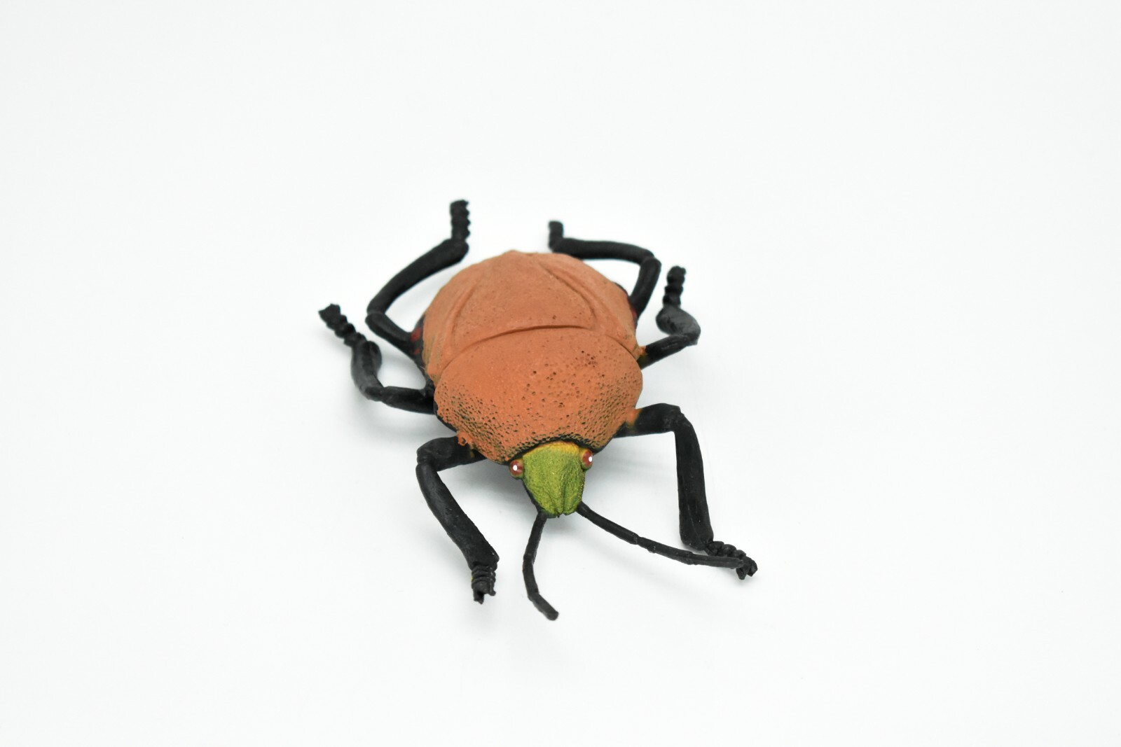 Beetle, Japanese, Brown, Very Nice Rubber Replica 5″ – F2066 B133