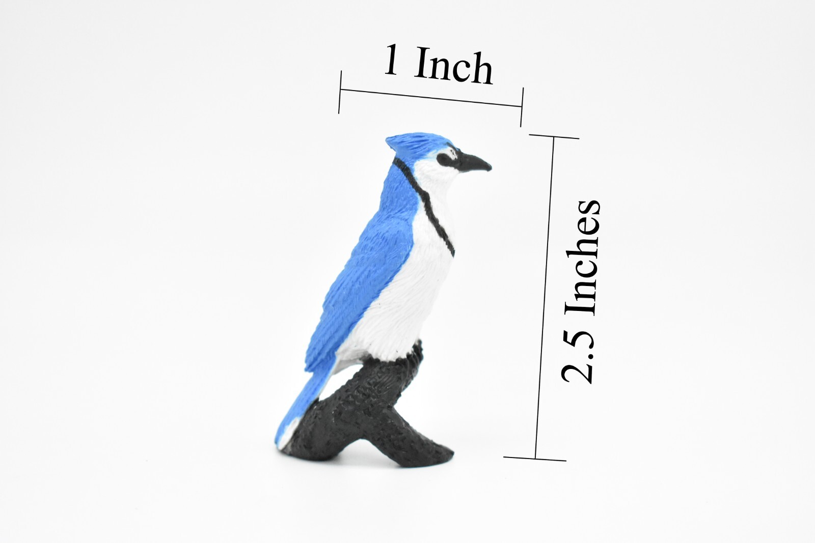 Blue Jay, Bird, Nice Plastic Reproduction 2 1/2″ F3388 B27