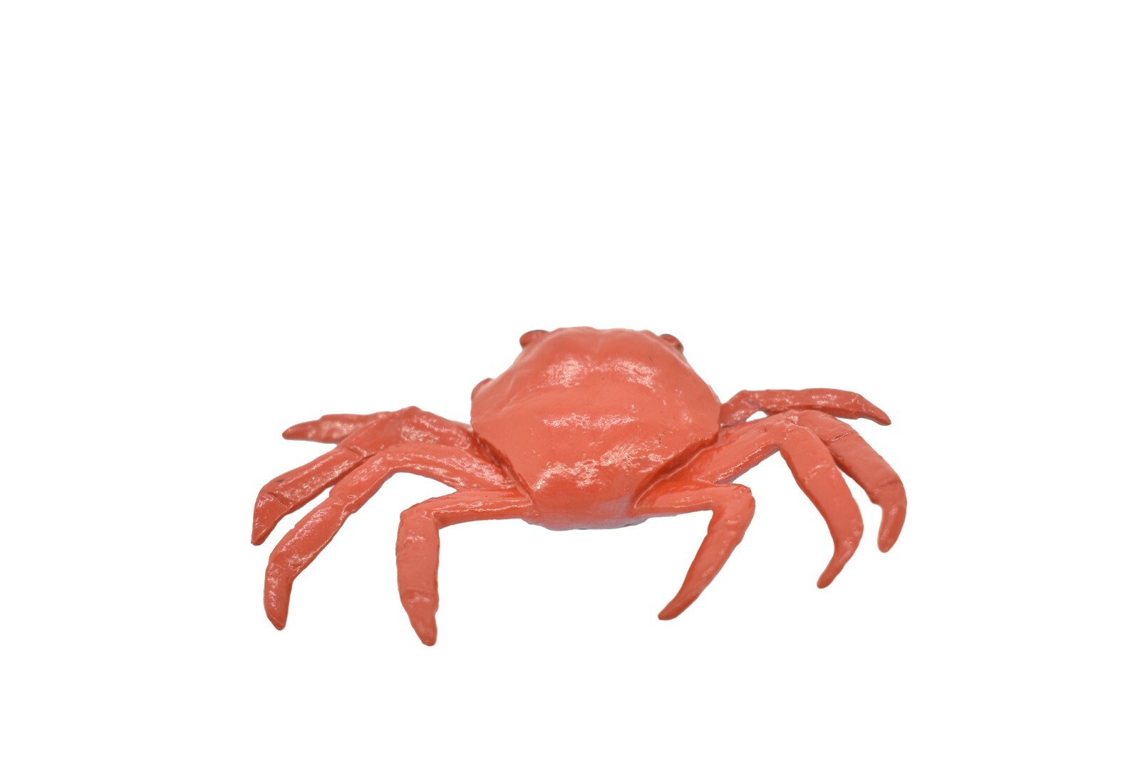 Crab Sally Lightfoot, Galapagos Islands, Plastic Replica 2″ F1591 B150
