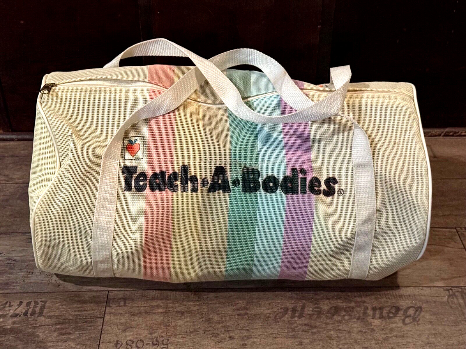 Original 80’s June Harnest Family Dolls Educational Teach A Bodies Booklet & Bag