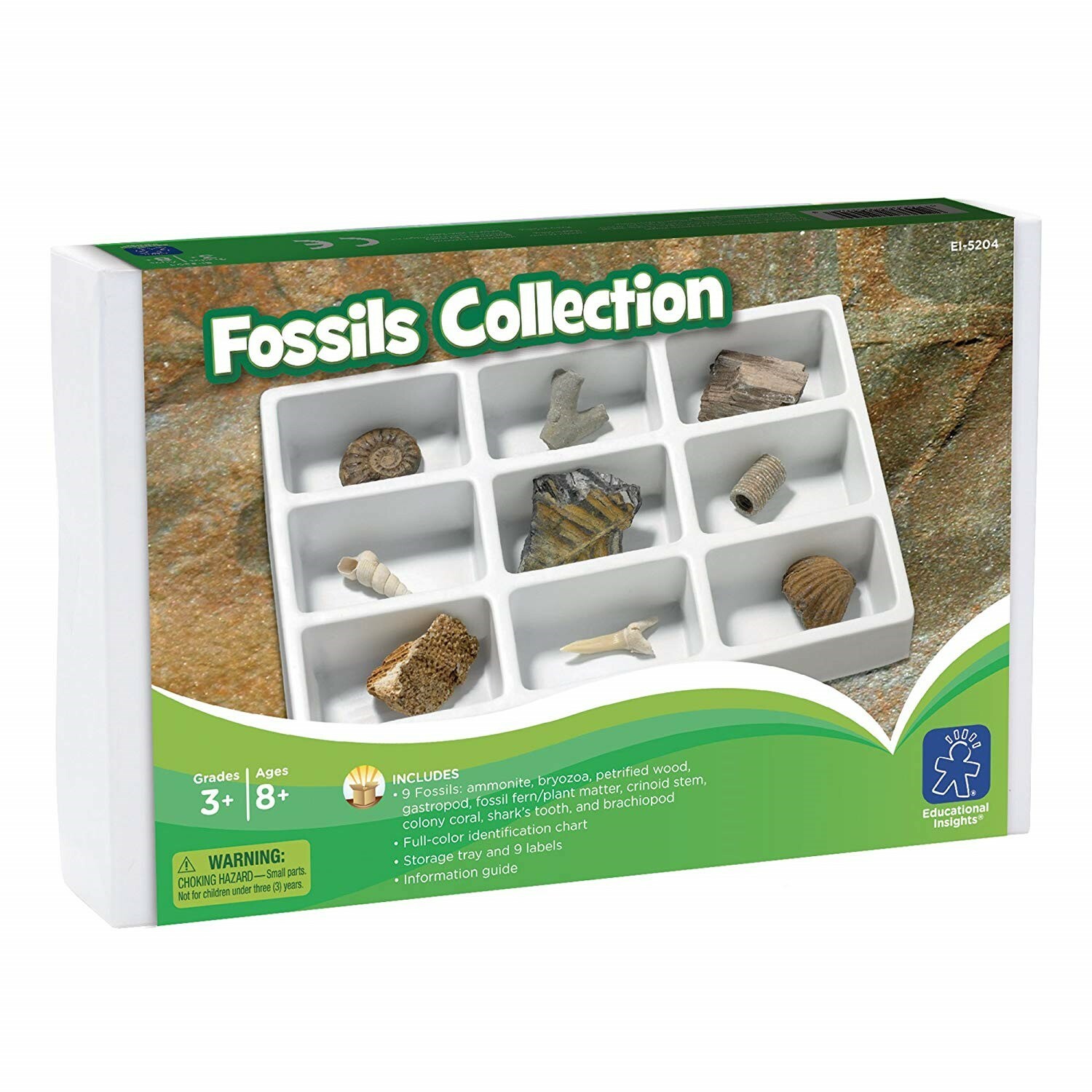 Educational Insights Fossil Collection (New)