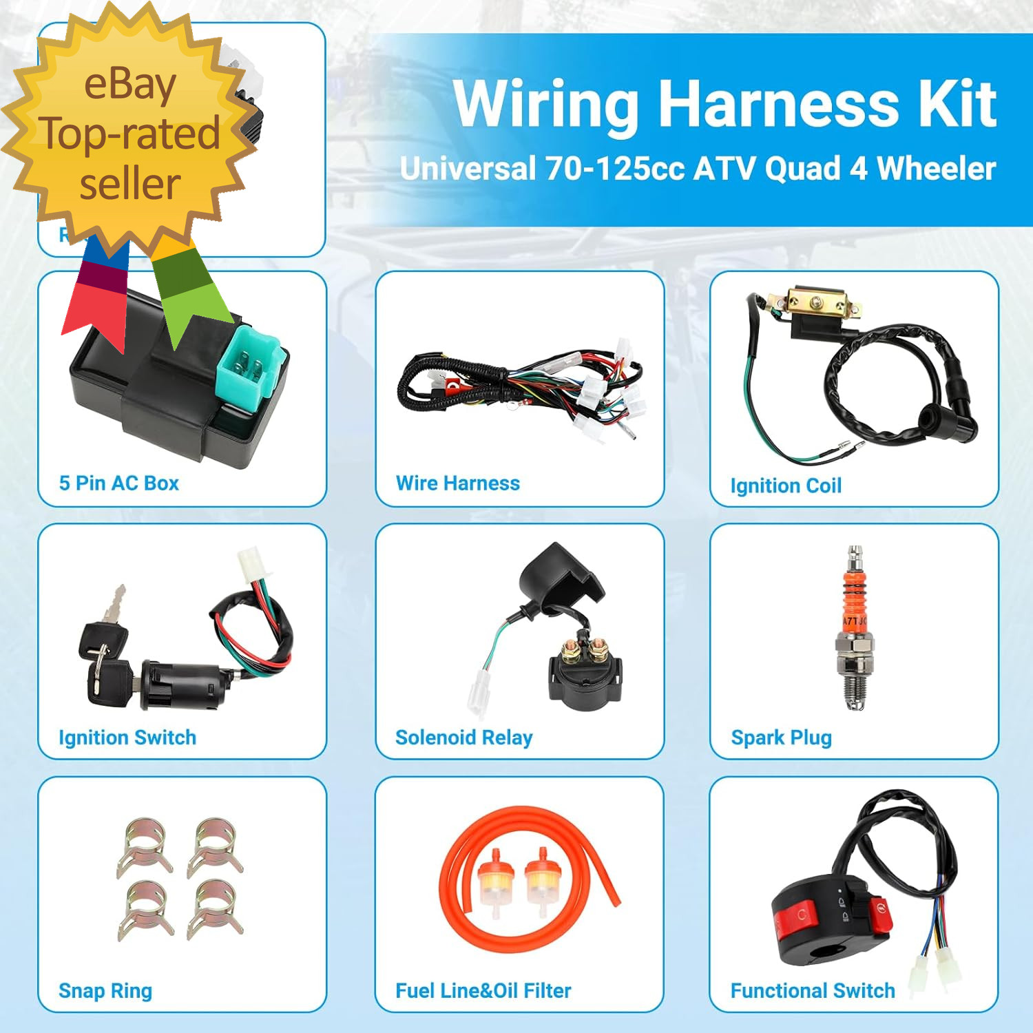 Electric Wiring Harness Kit Compatible with Taotao Coolster 110Cc 125Cc