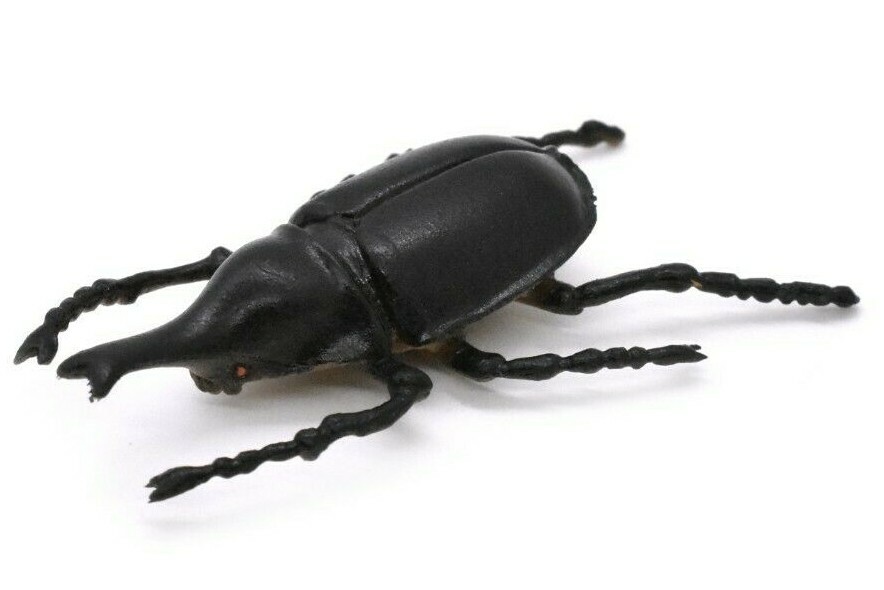 Elephant Beetle, Very Nice Rubber Reproduction 2″ CWG12 B13