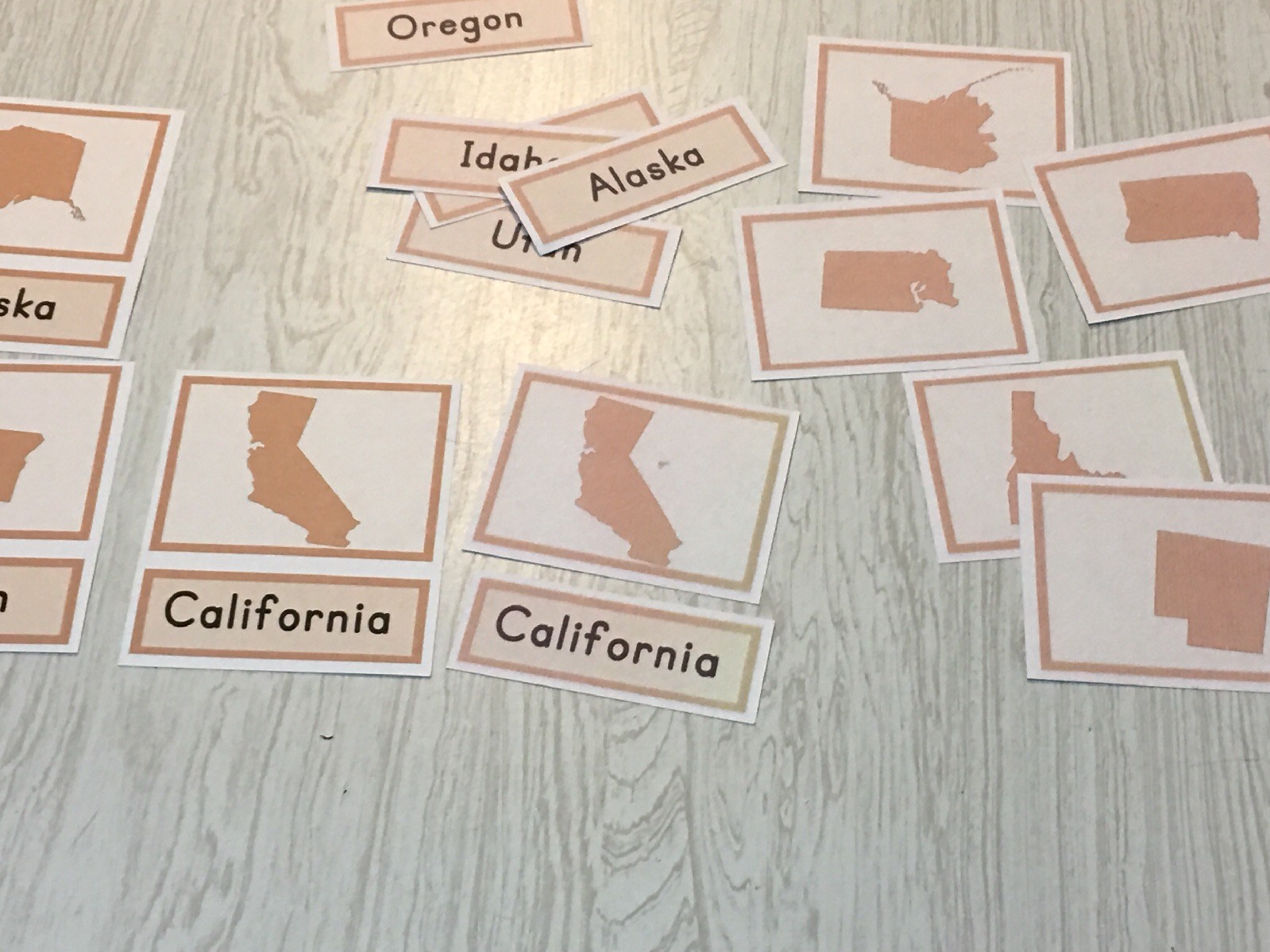 Identifying Fifty States – Three Part Cards – Montessori