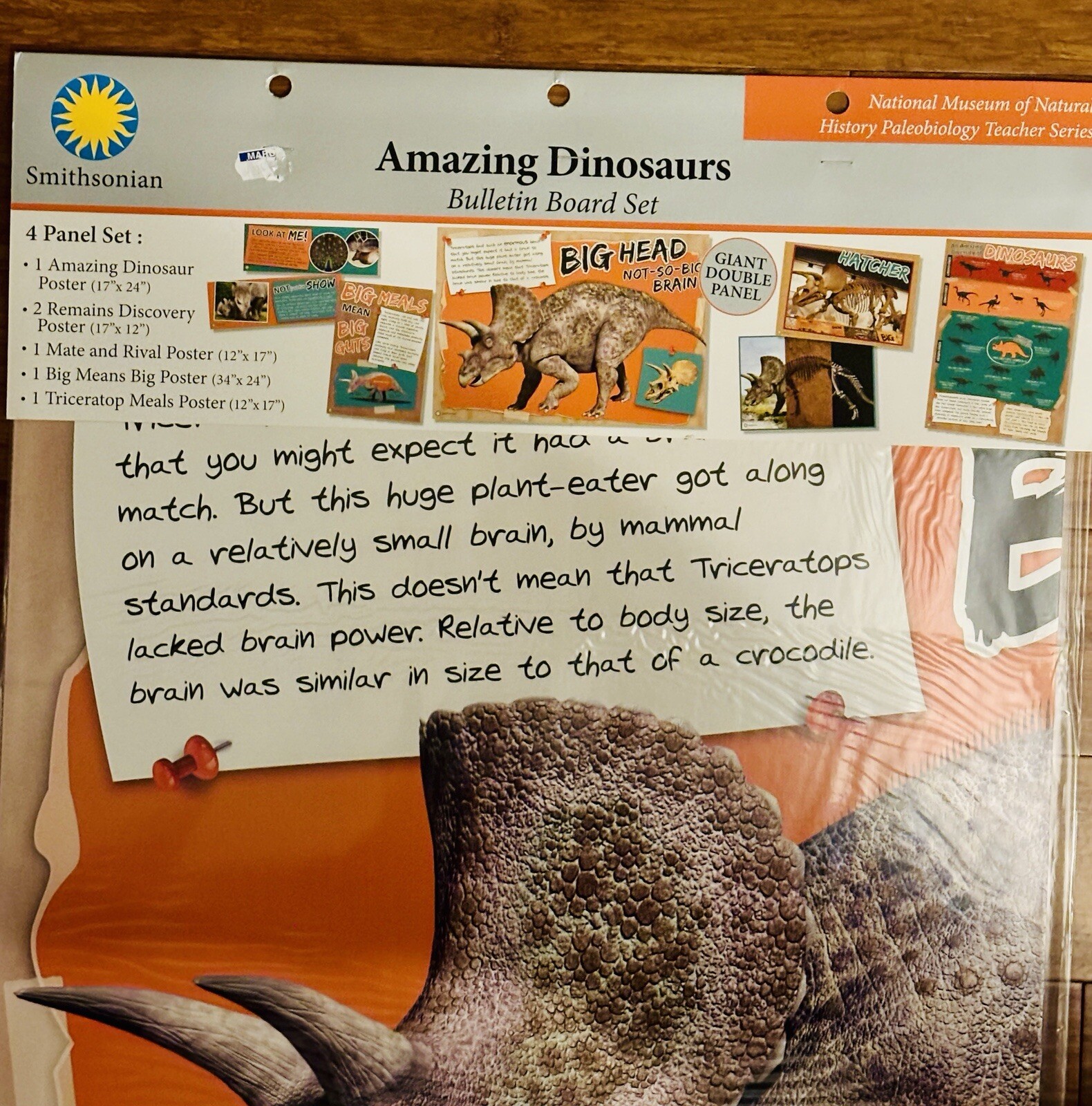 Eureka Smithsonian Triceratops Dinosaur Facts Bulletin Board Classroom Decor 6pc